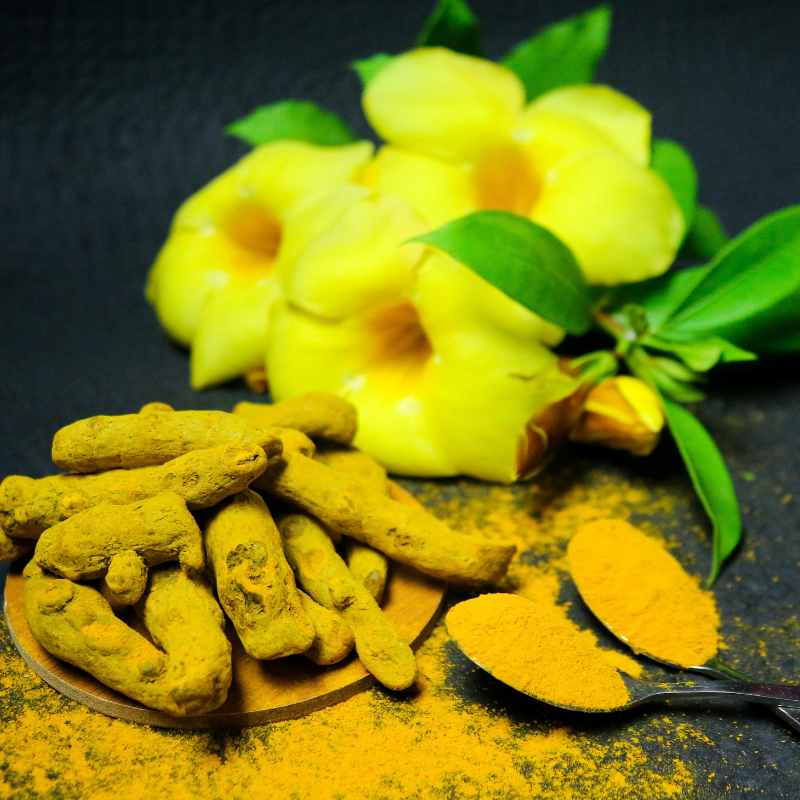 Ayurveda Training in Nepal