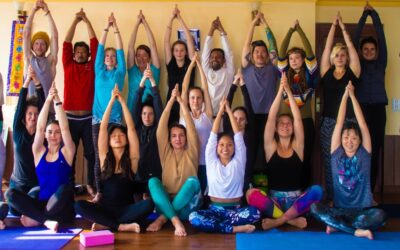 200 & 500 Hours Yoga Teacher Training Course: Meditation
